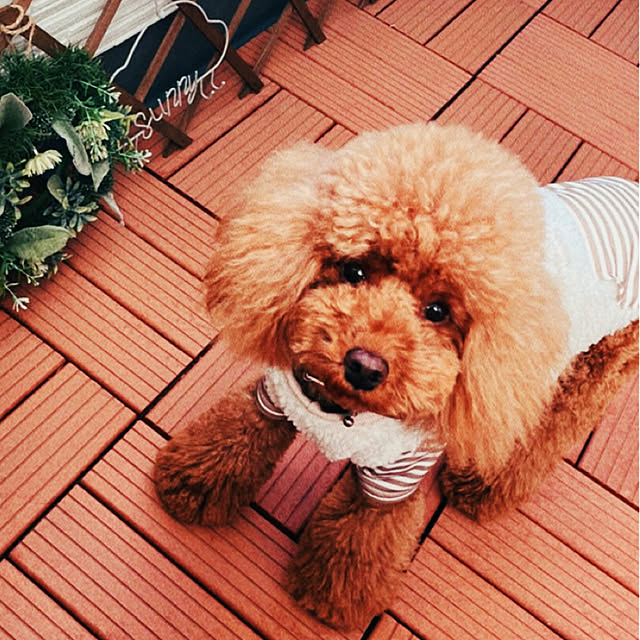 yumaさんの実例写真