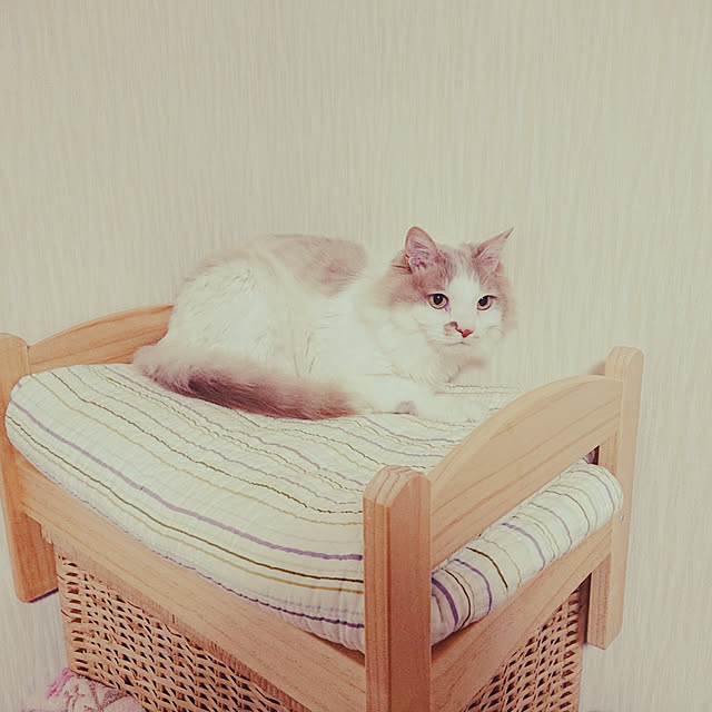 koumeさんの実例写真