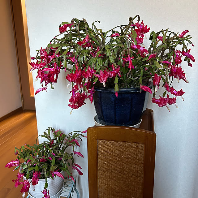 fumikoiさんの部屋