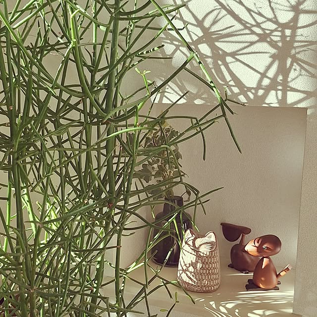 souさんの実例写真