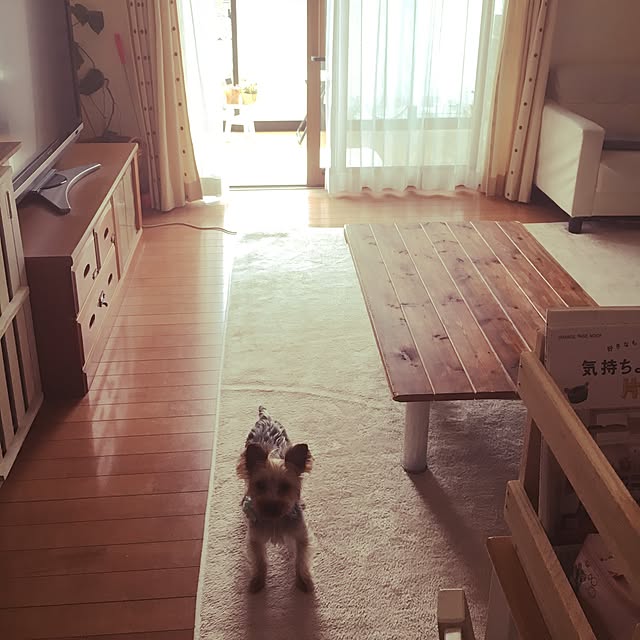 mayuoさんの実例写真