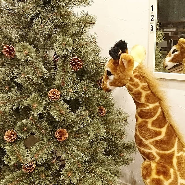 akiさんの実例写真