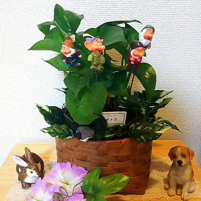 Emikoさんの実例写真