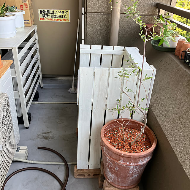 koshiregutyoさんの部屋