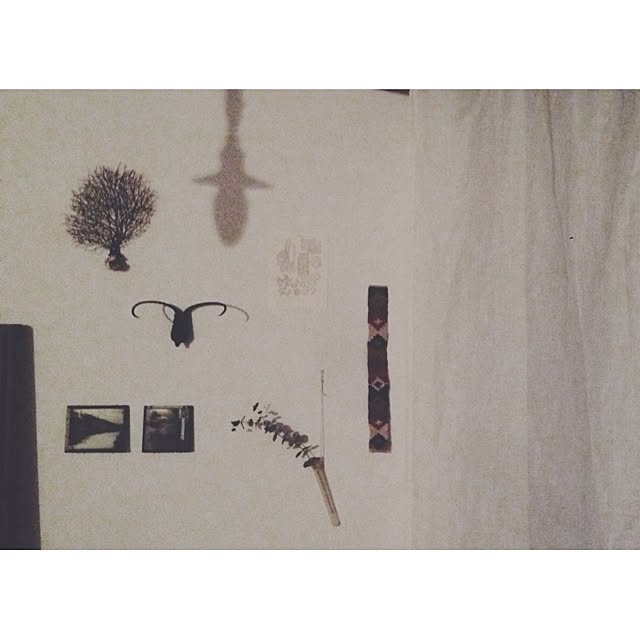 a.sさんの実例写真