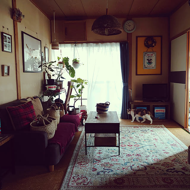 fukuさんの実例写真