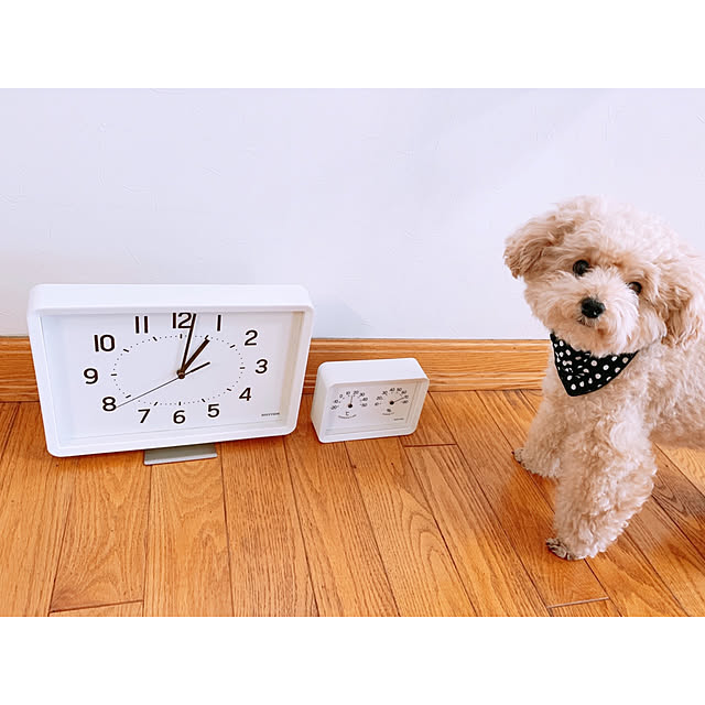 teaさんの実例写真