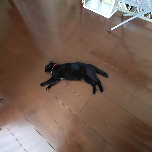 kuroさんの実例写真