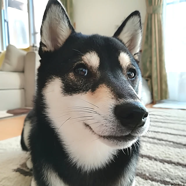 Yuzuさんの実例写真