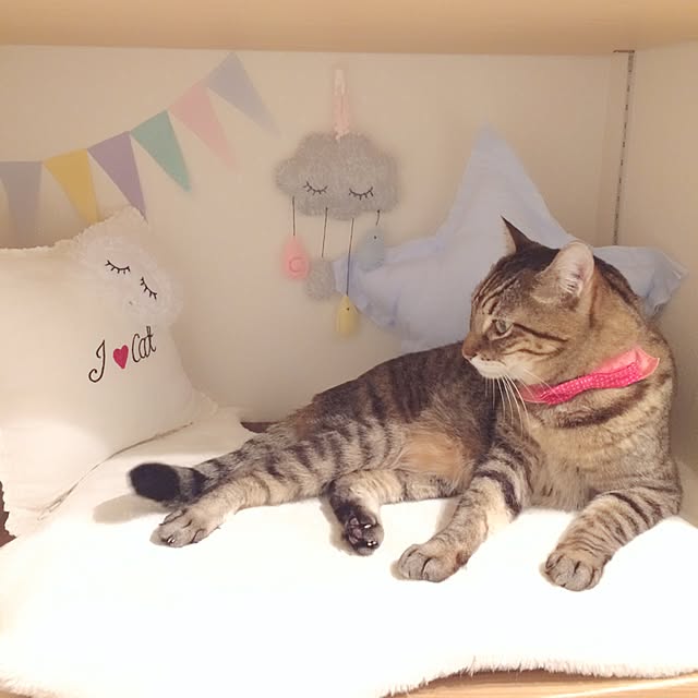 lovecatさんの実例写真
