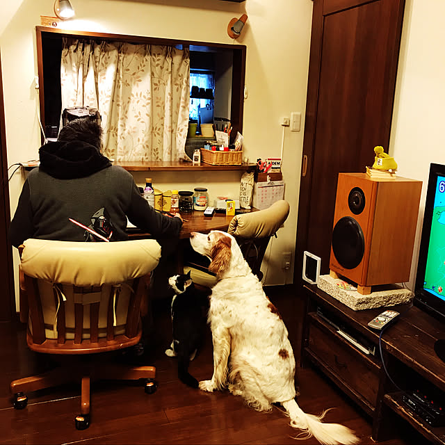 skip529さんの実例写真