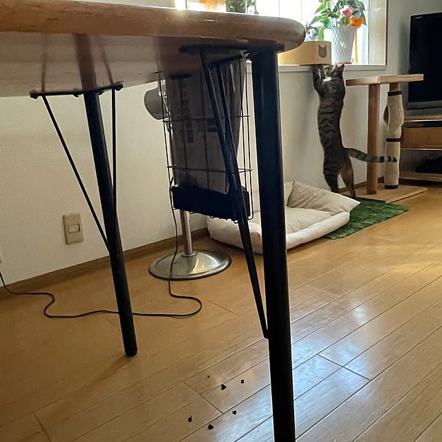 nobikoさんの部屋