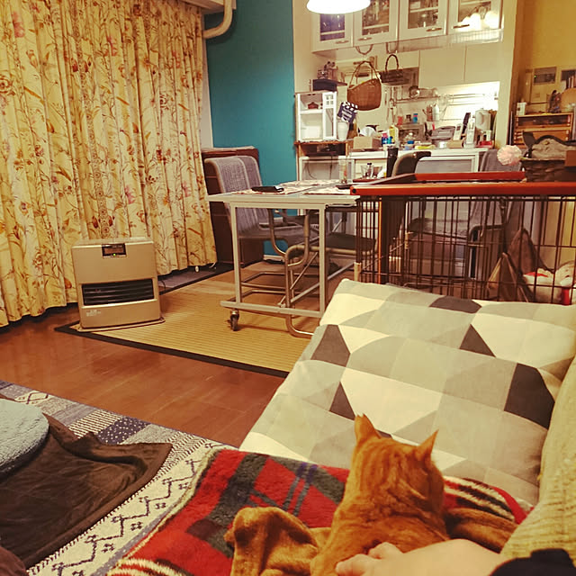 okyosan101さんの実例写真