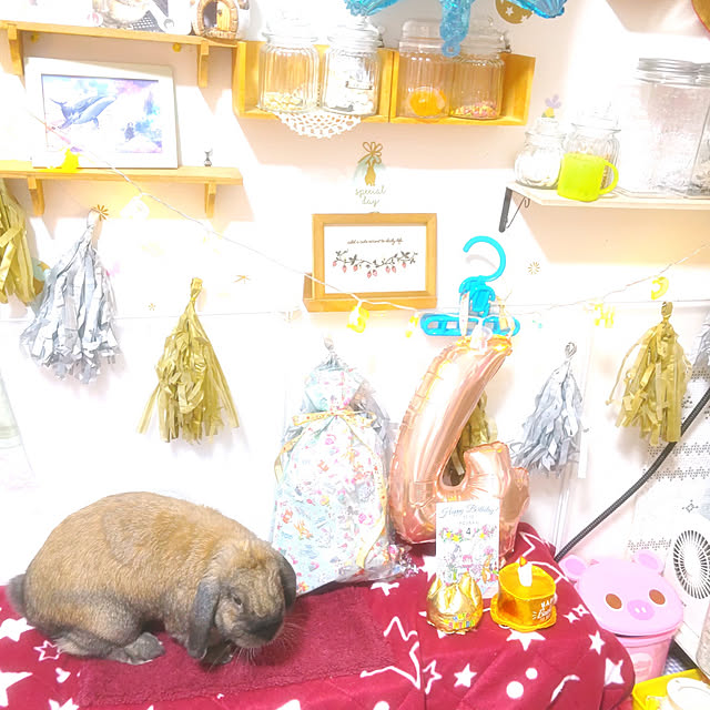 mariaさんの実例写真