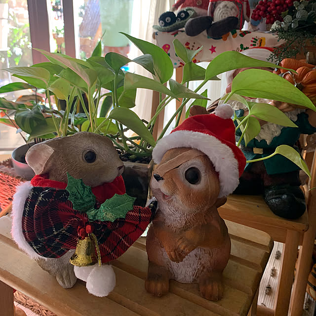 Aqettyさんの部屋