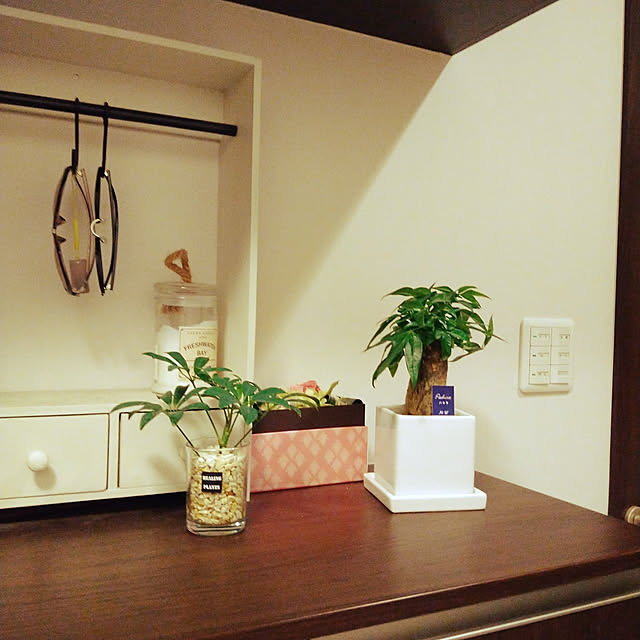 玄関/入り口/観葉植物/ナチュラル/ホワイトインテリアのインテリア実例 - 2021-06-27 00:08:33
