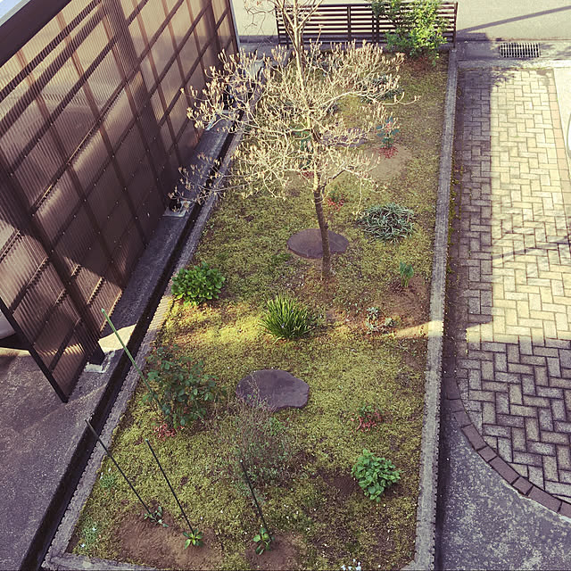 kakoさんの実例写真