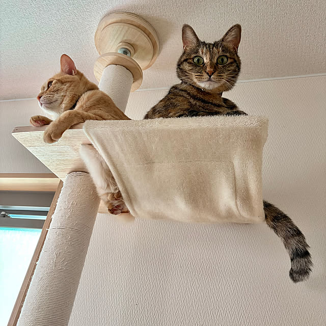 chiiさんの部屋