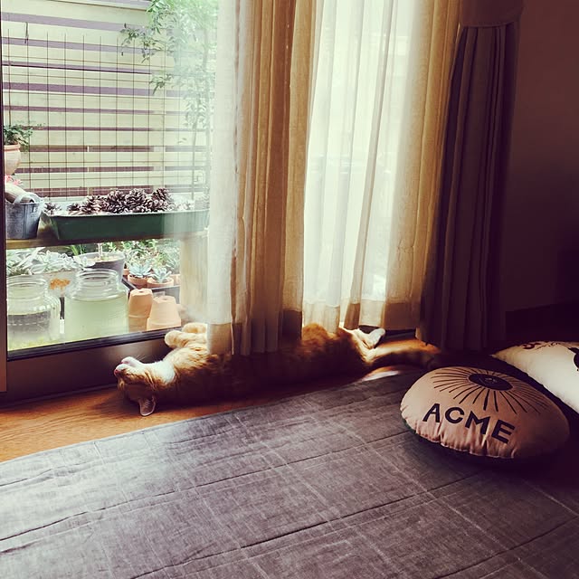mihoさんの実例写真