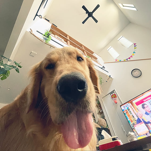 marinkoさんの実例写真