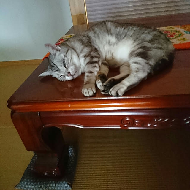 machikomamaさんの実例写真