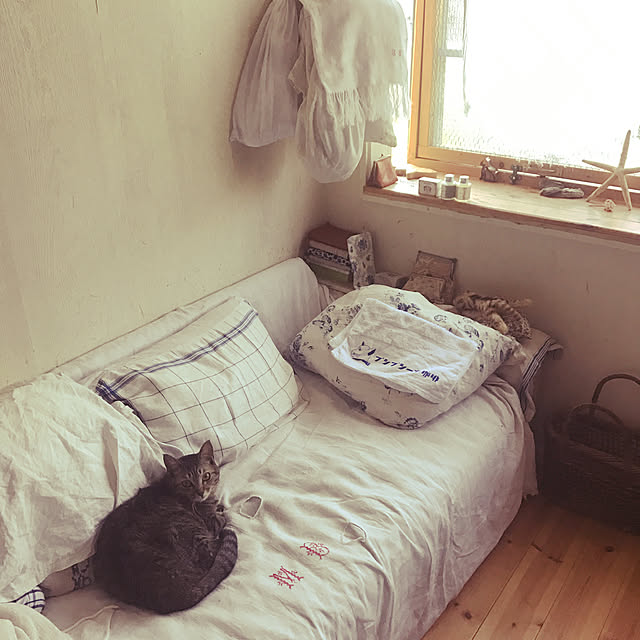 neko-2.2.2runmuさんの実例写真