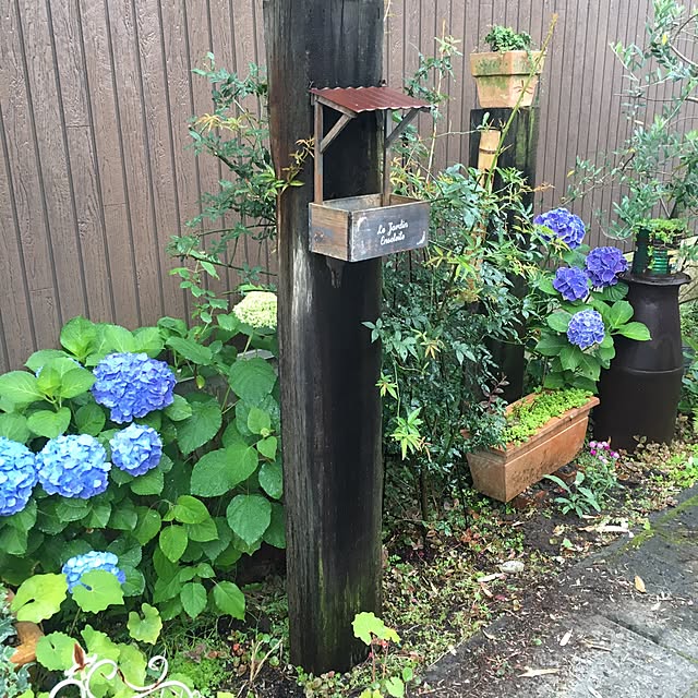 Maikoさんの実例写真