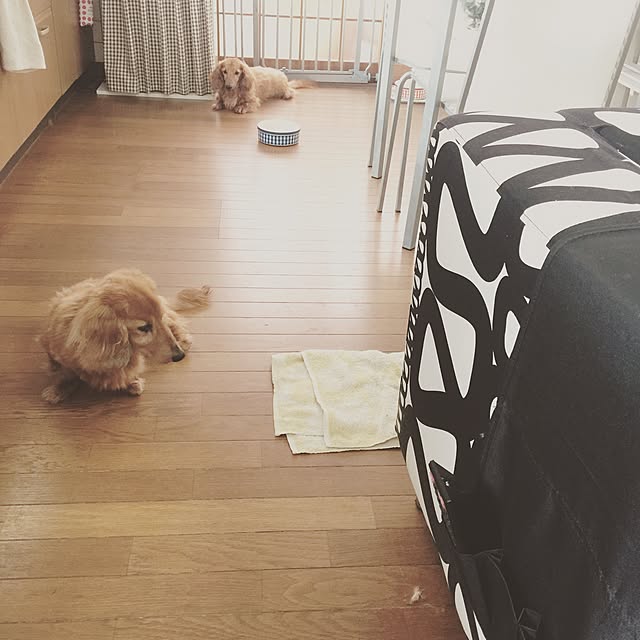 Yorikoさんの実例写真