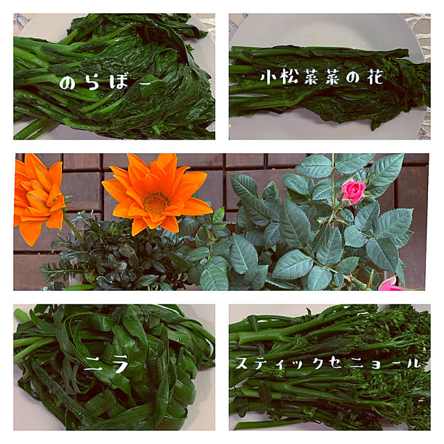 Natashyaさんの実例写真