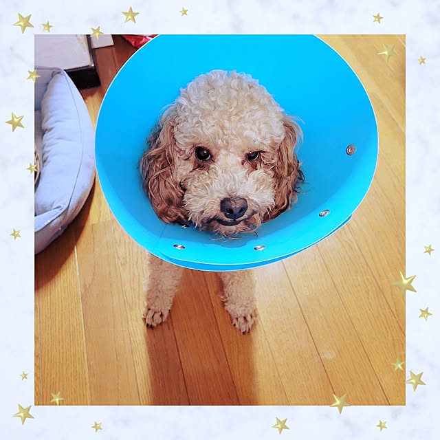 mimi828さんの実例写真