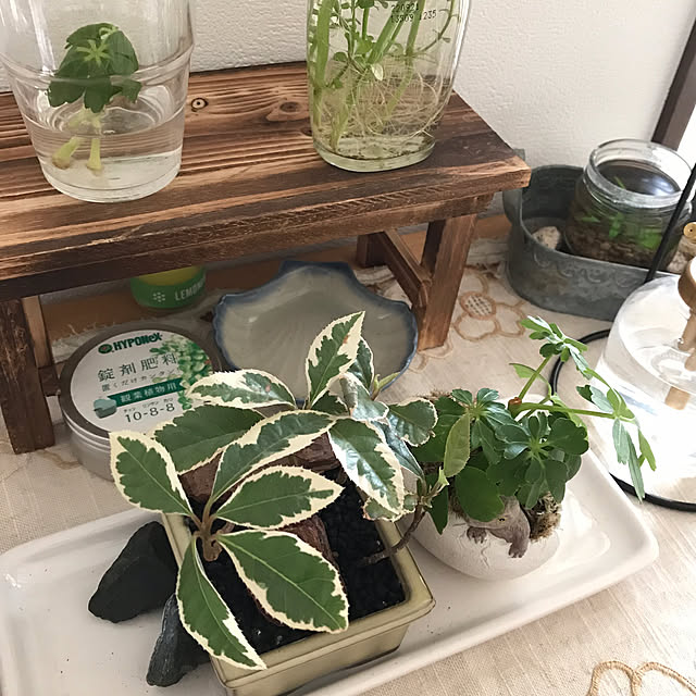 mi-saさんの実例写真