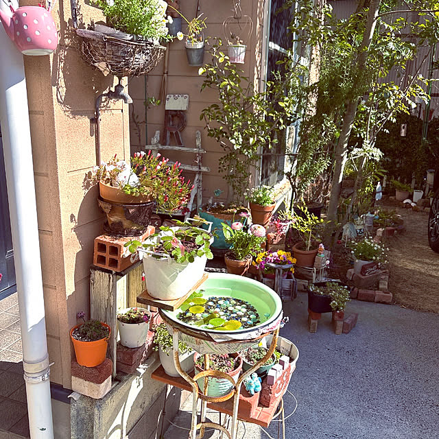 takakoさんの実例写真