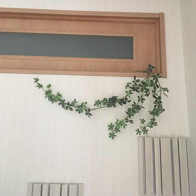 momokaさんの実例写真