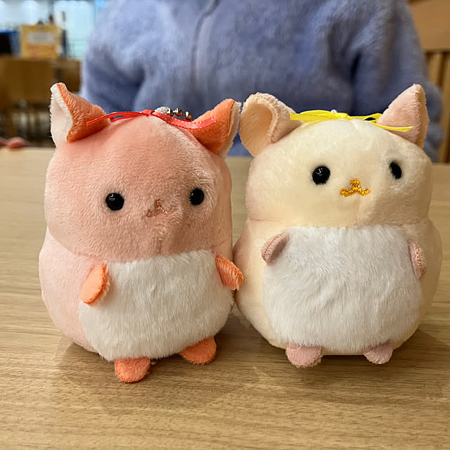 hikaruuさんの実例写真