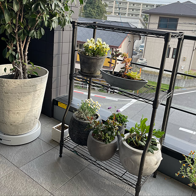 tomo_ppgさんの実例写真