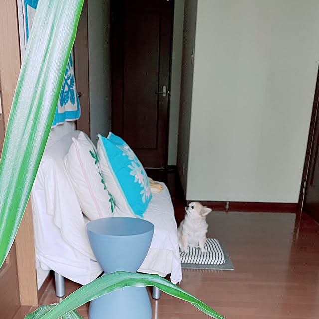 natsumiさんの部屋