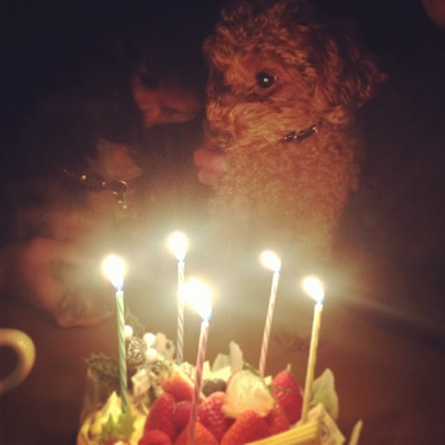 Kikoさんの実例写真