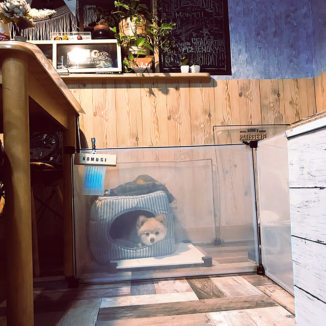 franさんの実例写真