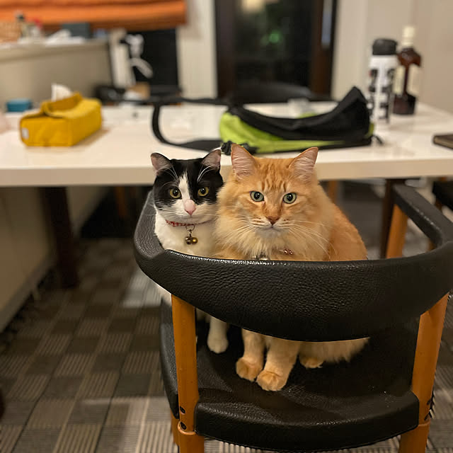 makoto07280417さんの実例写真