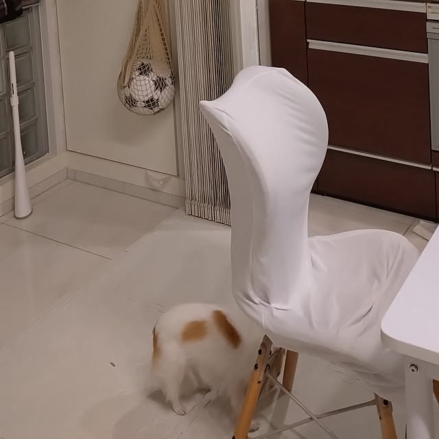toratanさんの実例写真