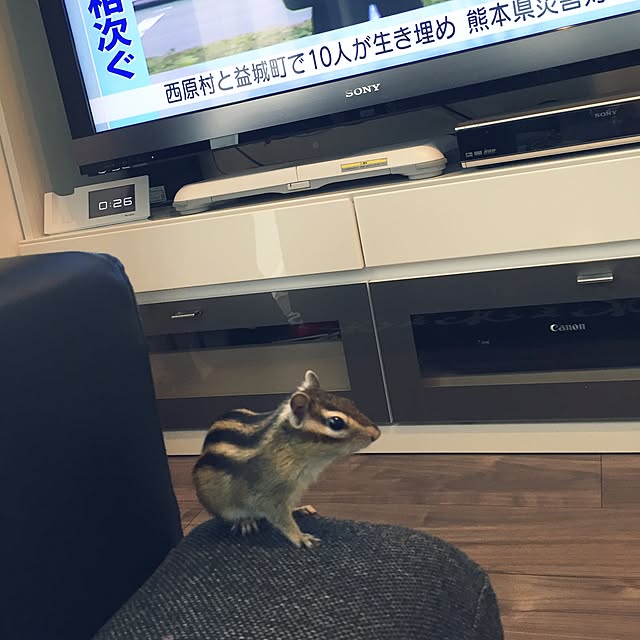 cloverさんの実例写真