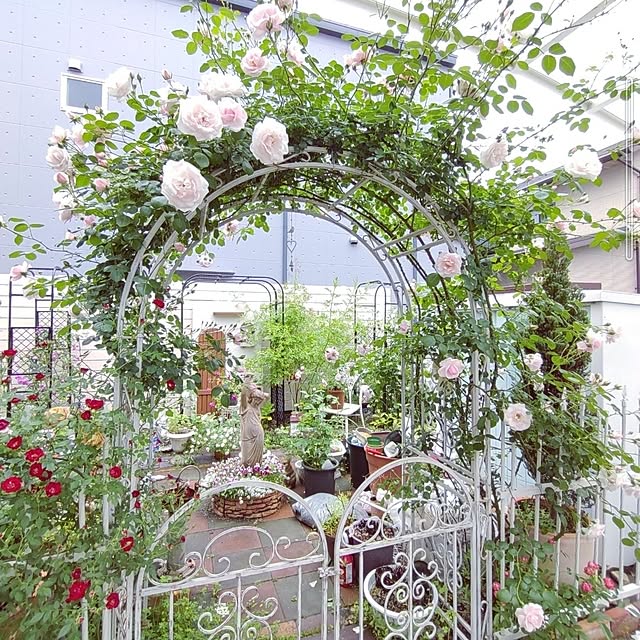 Bienvenueさんの部屋