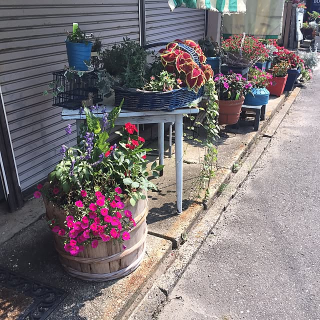 実例写真