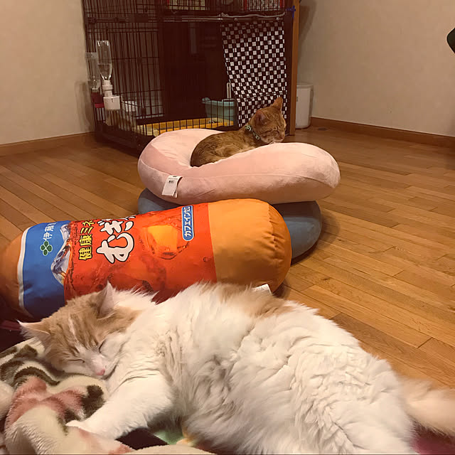 Ri-pochaさんの実例写真