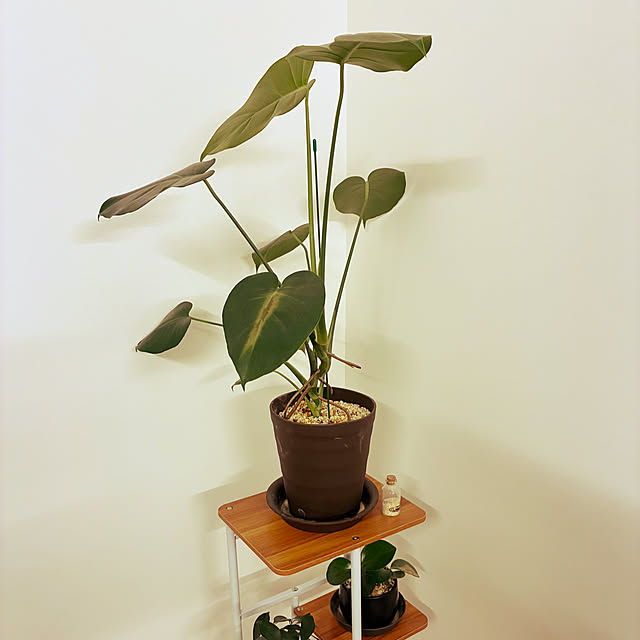 sansanさんの部屋