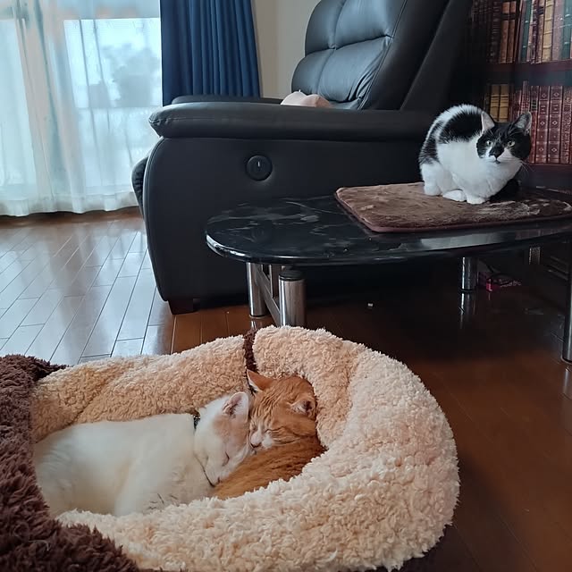 NOAHさんの実例写真