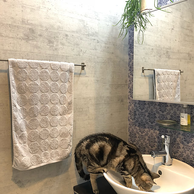 akiさんの実例写真