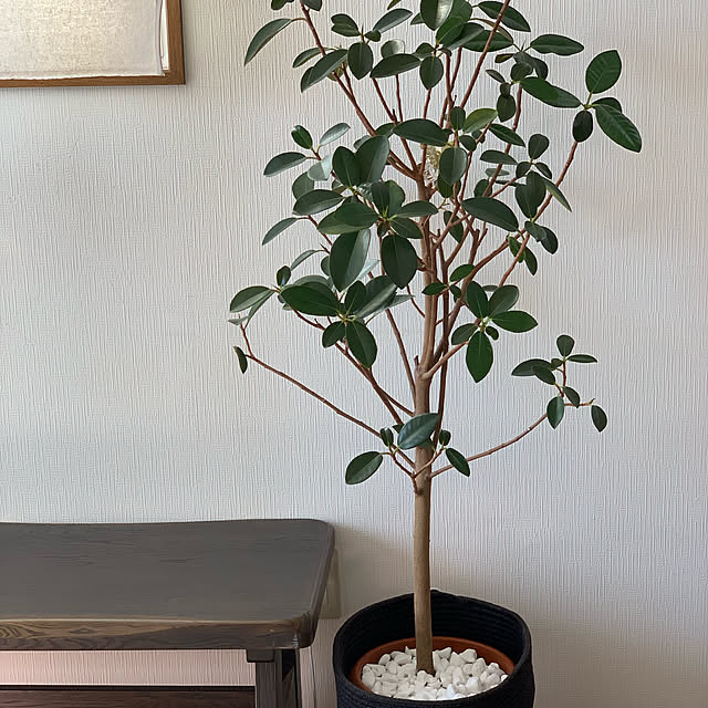 2bunno1koさんの実例写真