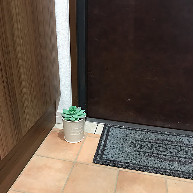 mi-saさんの実例写真