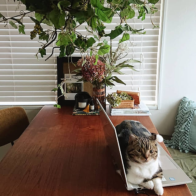 maison.de.brocanteさんの実例写真